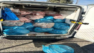 Kaçak sakatat operasyonu: 2 ton ele geçirildi