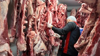 Kadıköyde gıda ve hijyen denetimleri artırıldı: Kurallara uymayan işletmelere 15 günlük süre