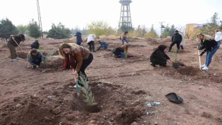 Kadına yönelik şiddete dikkat çekmek amacıyla fidan dikim etkinliği yapıldı