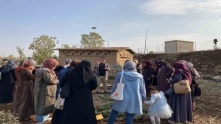 Kadınlar tıbbi ve aromatik bitkileri yerinde tanıyor