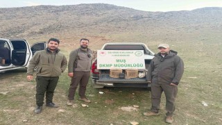 Kafes avcılığı yapan şahıs suçüstü yakalandı: 20 bin TL ceza