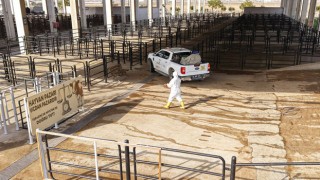 Kahramanmaraş Canlı Hayvan Pazarı’nda Kapsamlı İlaçlama Yapıldı