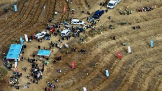 Kahramanmaraşta yanan alanlara fidanlar dikildi