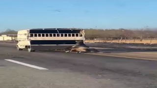 Kamyonetin arkasına bağlanan at yola düşüp sürüklendi: O anlar kamerada