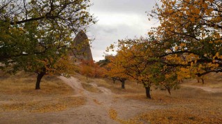 Kapadokyadaki renk cümbüşü dron ile görüntülendi