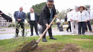 Kar Spor İda Ultra öncesinde zeytin fidanları toprakla buluştu