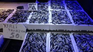 Karadeniz’de Hamsi Bolluğu: Fiyatlar 50 TL’ye Düştü