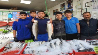 Karadenizdeki bolluk balık fiyatlarını düşürdü: Kiliste hamsi 100 liraya indi