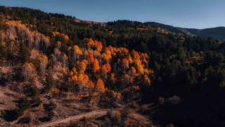 Karagöl Tabiat Parkında sonbahar, renkli görüntüler oluşturdu