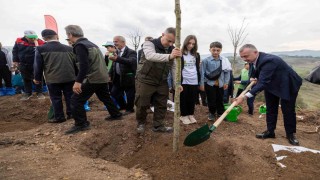 Karamürselde yanan bölge 3 bin fidanla yeniden yeşerecek