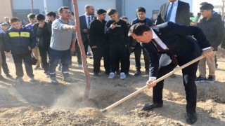 Karatayda 10 bin 400 metrekarelik alanda fidan dikildi