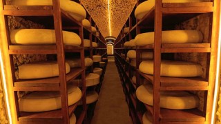 Kars Peynir Müzesi yoğun ilgi görüyor