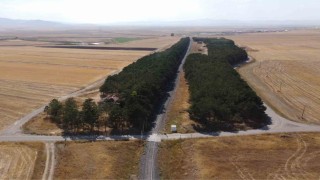 Karsta bozkırın ortasındaki vaha havadan görüntülendi