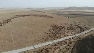 Karsta göçerlerin zoru yolculuğu başladı