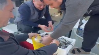 Kasasını 200 liraya alıp, tezgahta kilosunu 200 liraya satan esnaf, balıkçılar tarafından protesto edildi