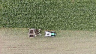 Kastamonuda çiftçilerin zorlu pancar mesaisi devam ediyor