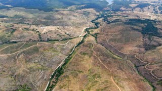 Kastamonuda küle dönen bin 256 hektarlık orman yeniden ağaçlandırılıyor