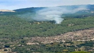 Kavaklıderede orman yangını
