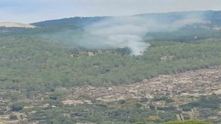 Kavaklıderedeki orman yangını kontrol altına alındı