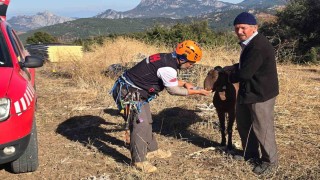 Kaya oyuğuna düşen ve 3 gün mahsur kalan keçi, film gibi operasyonla kurtarıldı