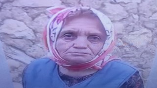 Kayıp kadını arama çalışmaları devam ediyor