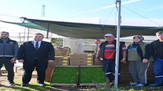 Kaymakam Ünaldan çiftçilere sertifikalı tohum desteği