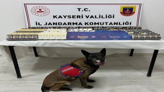 Kayseride 500 paket kaçak sigara ele geçirildi