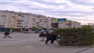 Kaza anı kask kamerasına yansıdı