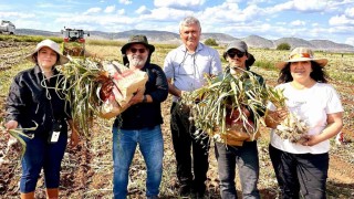 KBÜ, sarımsakta Fusarium hastalıklarına karşı bilimsel çözüm geliştirdi