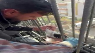 Kedi, dökülen betonun altında kalmaktan son anda kurtarıldı