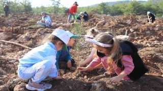 Kepezli Minikler, yangın sonrası orman alanına umut dikti