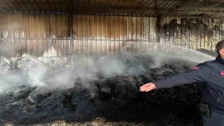 Keşanda çıkan yangında bin saman balyası yandı