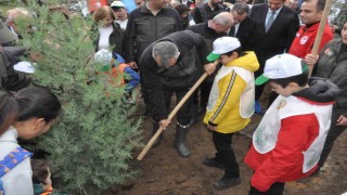 Keşanda yangından zarar gören ormanlık alana 2 bin çam fidanı dikildi