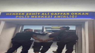 Kesinleşmiş hapis cezası bulunan 2 şüpheli jandarma ekiplerince yakalandı