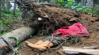 Kestiği ağacın altında kalan bir kişi hayatını kaybetti