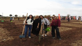 Kiliste Çiftçiye Hayat Olsun projesinde 10 bin fidan toprakla buluştu