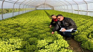 Kırklarelinde sera denetimleri