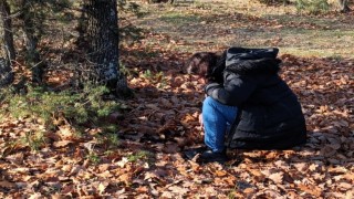 Kırklarelinde süne ile mücadele hamlesi: Sonbahar Kışlak Sürveyleri çalışmalarına başladı