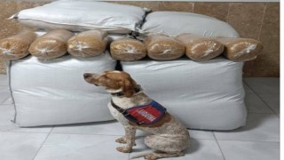 Kırşehirde yolcu otobüsünde 400 kilogram kaçak tütün ele geçirildi