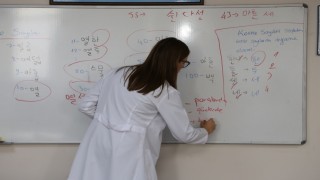 KO-MEKten 7 farklı dilde kariyer desteği