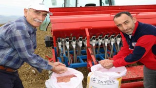 Kocaelide çiftçilere yüzde 75 hibeli tohum desteği