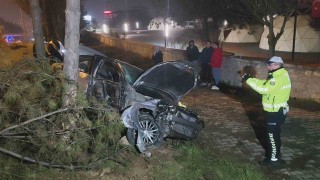 Kontrolden çıkan otomobil, direk ve ağaçlara çarptı: 1 yaralı