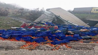 Kontrolden çıkan sebze yüklü tır devrildi: 1 yaralı