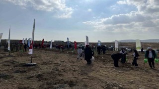 Konyada 33 bin 811 fidan toprakla buluştu