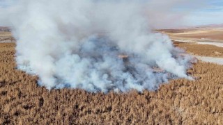 Konyada sazlık alanda yangını