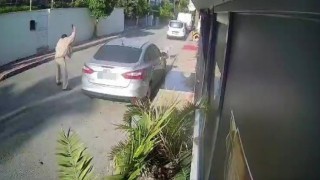 Köpeği silahla vuran emekli polis için 4 yıla kadar hapis talebi