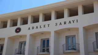 Köpekleri tüfekle vuran şahıs tutuklandı