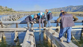 Köyceğiz Gölü, Dalyan ve İztuzunda denetim