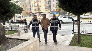 Kullandığı tırın dorsesinde 11 kaçak göçmen bulunan sürücü tutuklandı