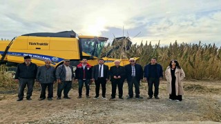 Kuluda endüstriyel kenevirin hasadı başladı